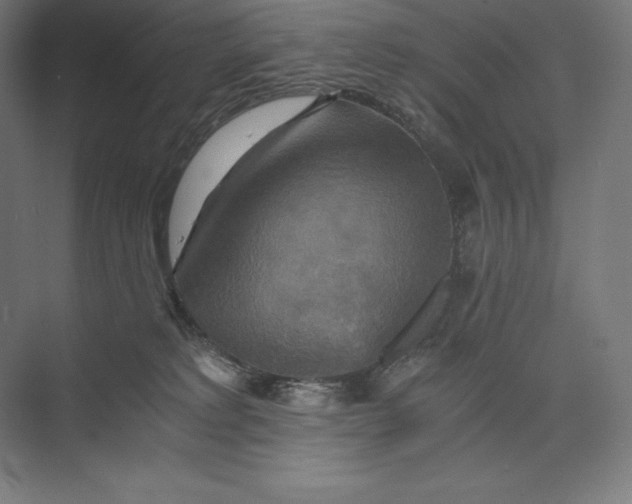 X0000074000229200609061032