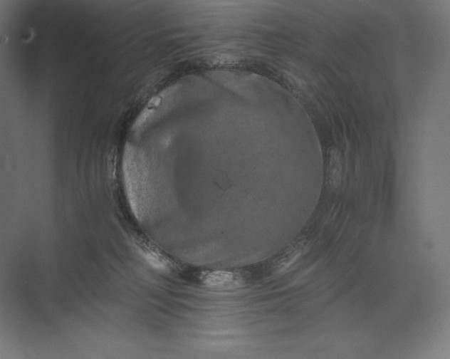 X0000074000230200609061032