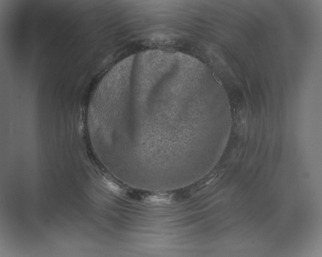 X0000074000232200609061032