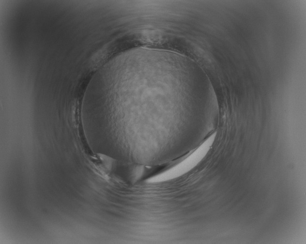 X0000074000233200609061032