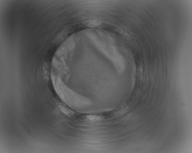 X0000074000234200609061032