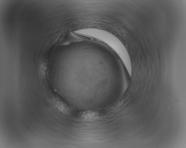 X0000074000235200609061032