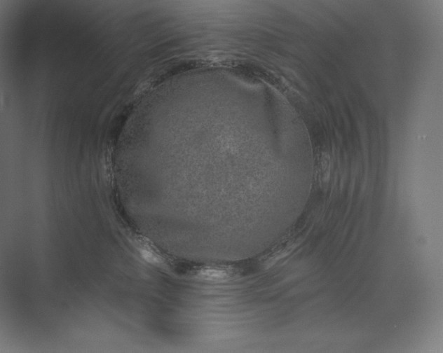 X0000074000236200609061032