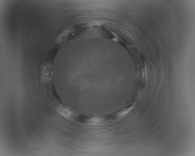 X0000074000237200609061032