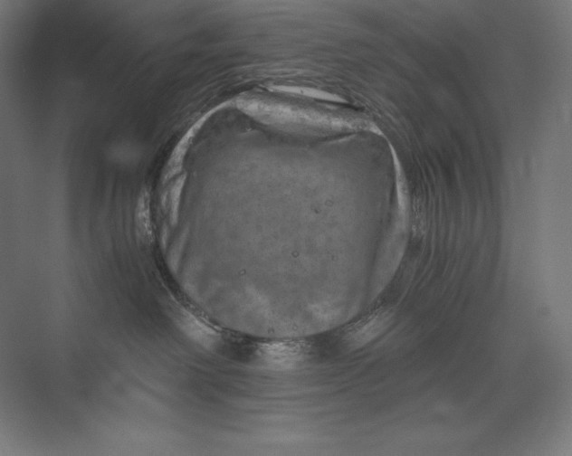 X0000074000238200609061032