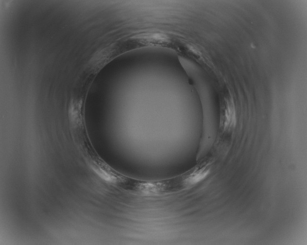 X0000074000239200609061032