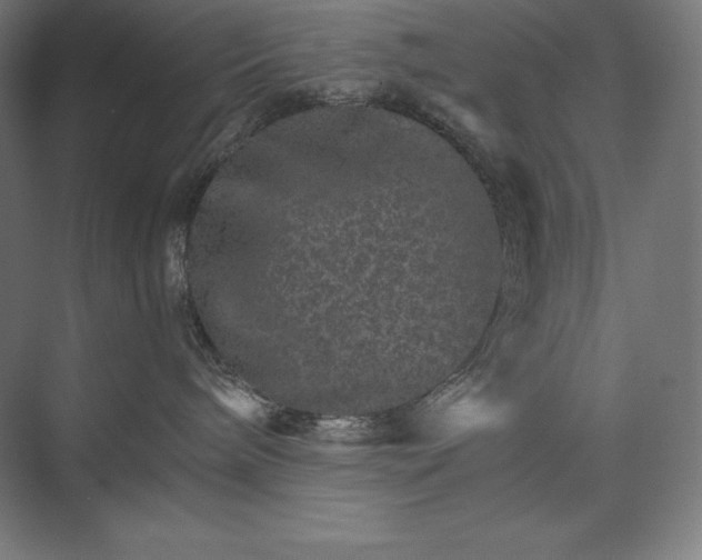 X0000074000240200609061032