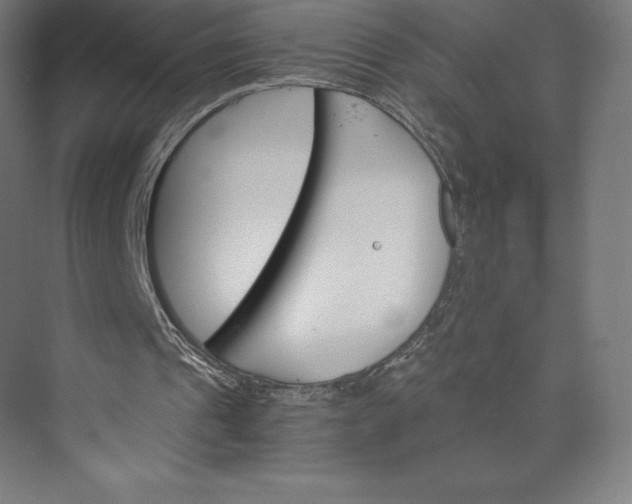 X0000074000241200609061031