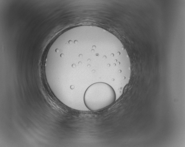 X0000074000242200609061031