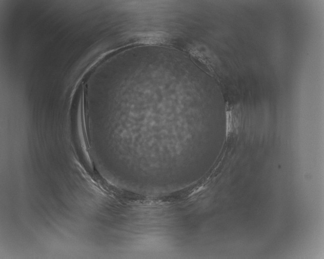 X0000074000243200609061031