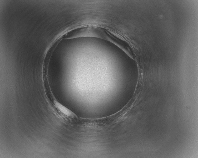 X0000074000244200609061031