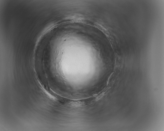 X0000074000245200609061031