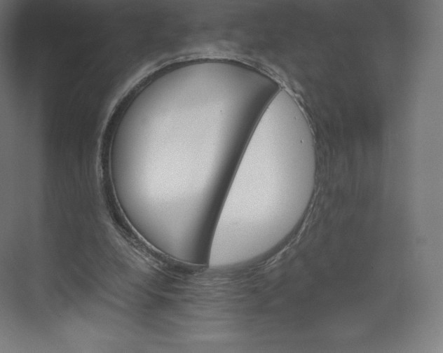 X0000074000248200609061031