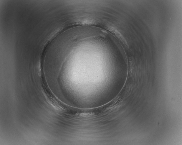 X0000074000251200609061031