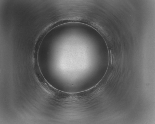 X0000074000252200609061031