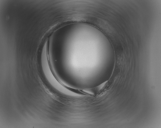 X0000074000256200609061031