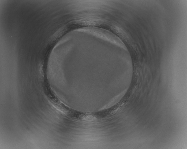 X0000074000258200609061031