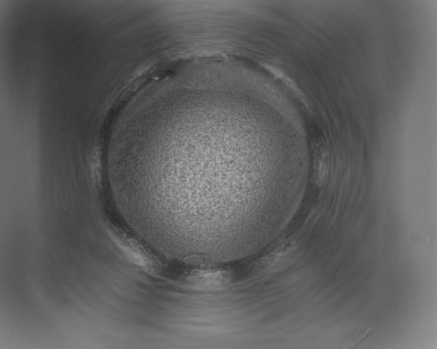 X0000074000260200609061031