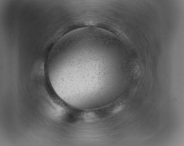 X0000074000262200609061031