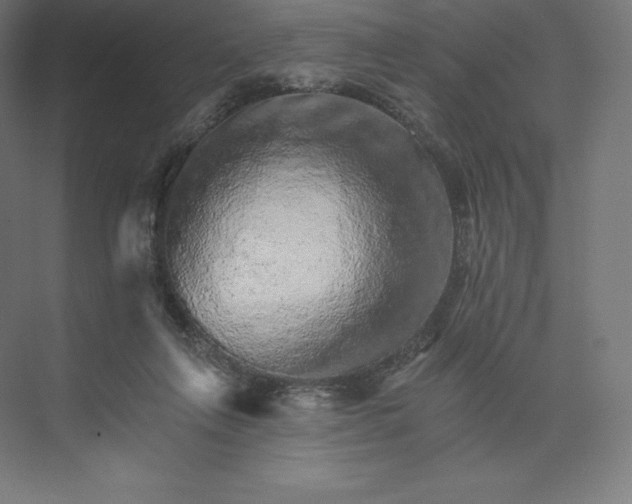 X0000074000263200609061031