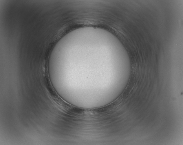 X0000074000264200609061031