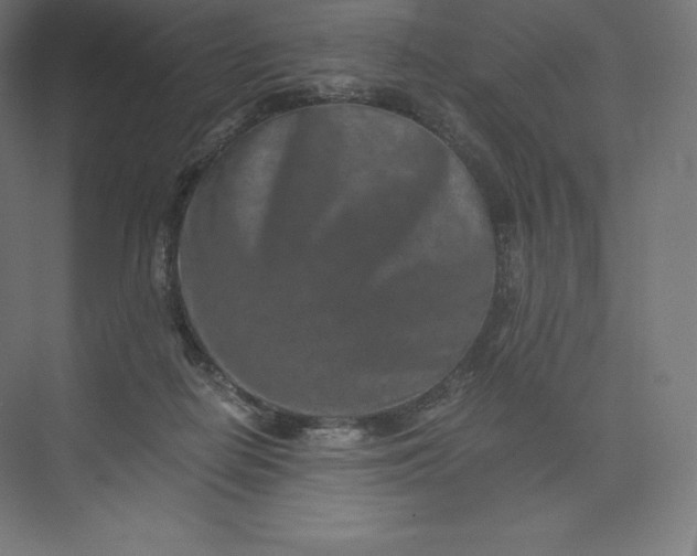 X0000074000266200609061031