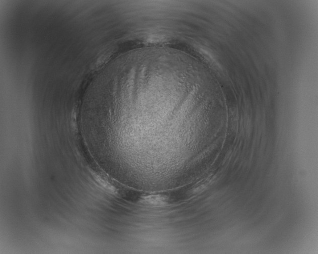 X0000074000269200609061031