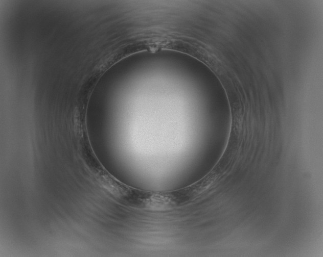 X0000074000270200609061031