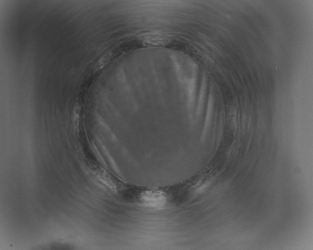 X0000074000271200609061031