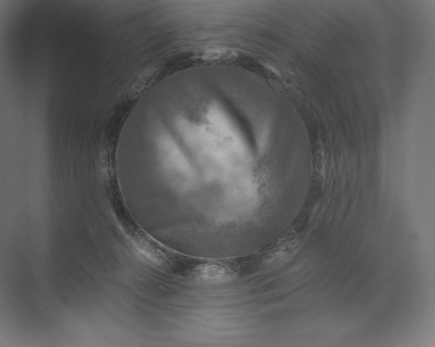 X0000074000272200609061031