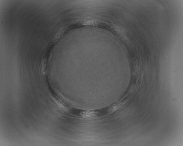 X0000074000273200609061031