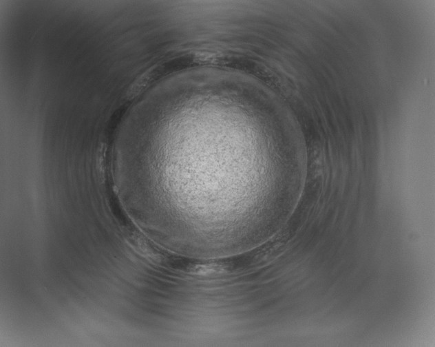 X0000074000275200609061031