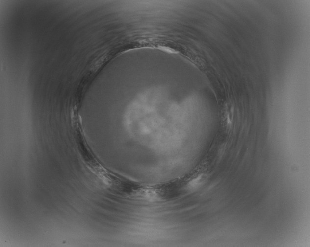 X0000074000276200609061031