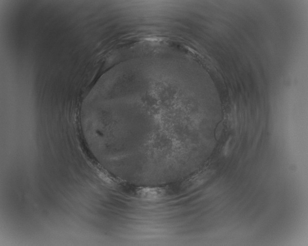 X0000074000277200609061031