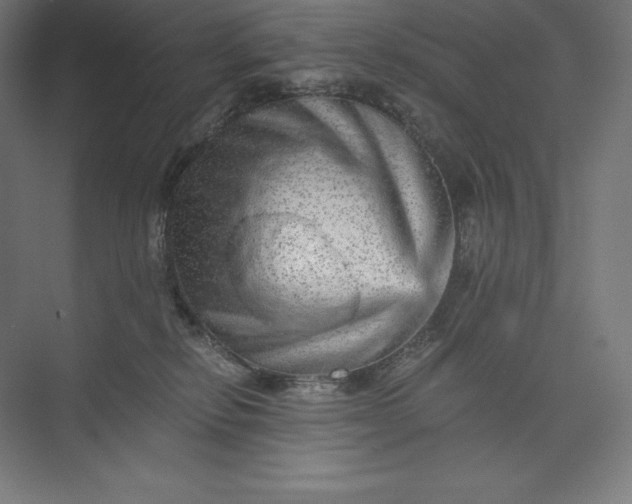 X0000074000278200609061031