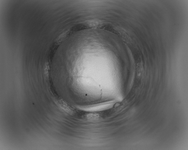 X0000074000279200609061031