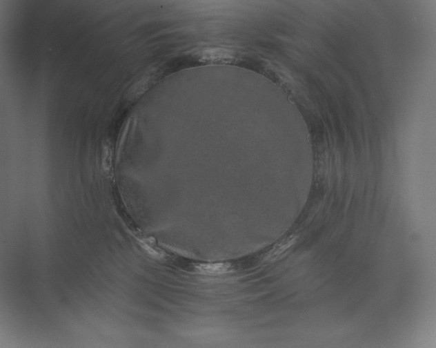 X0000074000281200609061031