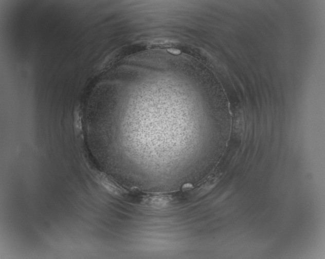 X0000074000282200609061031