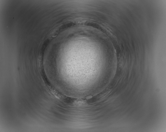 X0000074000283200609061031