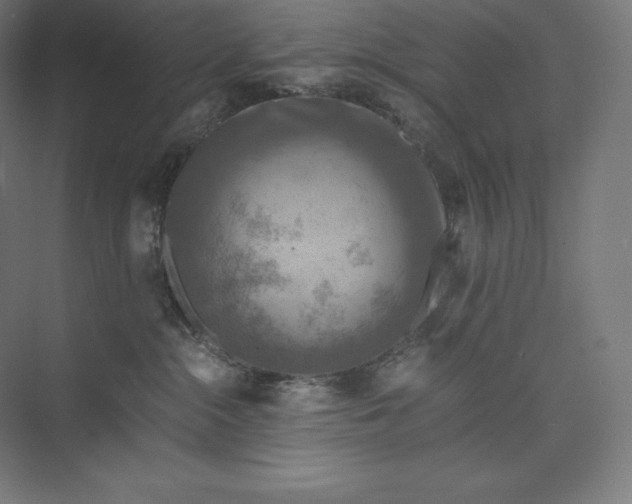 X0000074000284200609061031