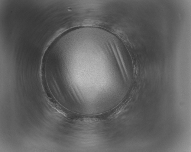 X0000074000292200609061031