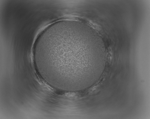 X0000074000294200609061031