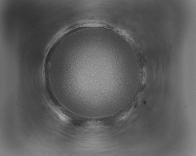 X0000074000296200609061031