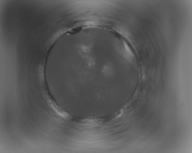 X0000074000297200609061031