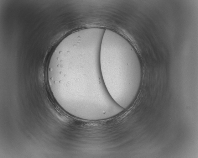 X0000074000298200609061031