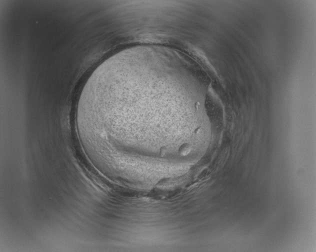 X0000074000299200609061031