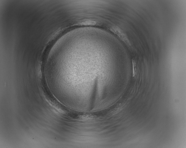 X0000074000300200609061031