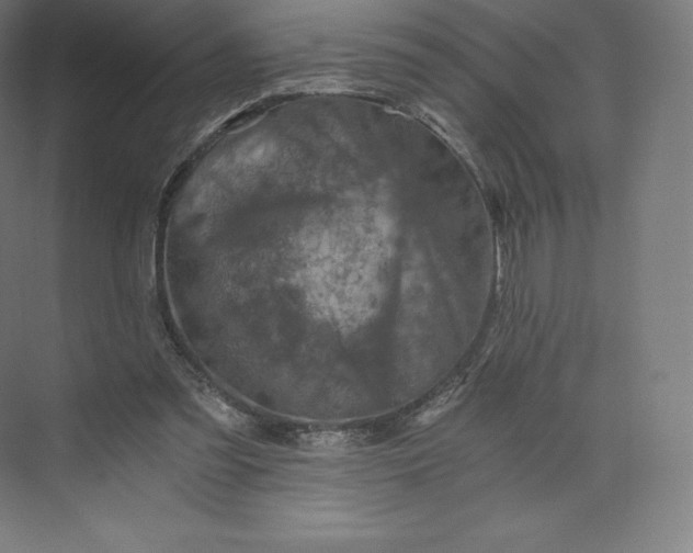 X0000074000301200609061031