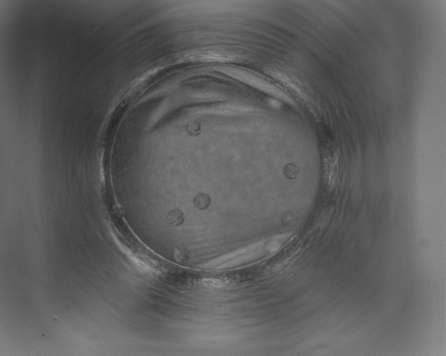 X0000074000302200609061031