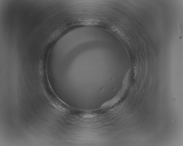 X0000074000303200609061030